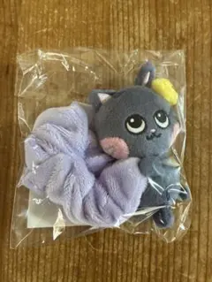 2025年最新】RiiZE ウォンビン シュシュの人気アイテム - メルカリ