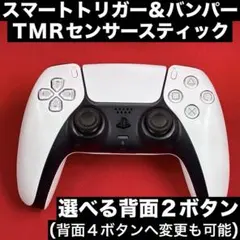 PS5 デュアルセンス カスタム コントローラー 背面ボタン 046w