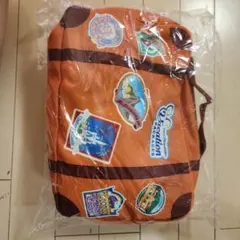 東京ディズニーリゾート バケーションパッケージ ブランケット