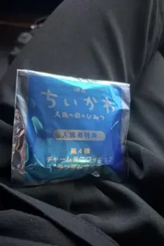 【未開封】映画 ちいかわ 人魚の島のひみつ入場者特典めじるしアクセサリーチャーム