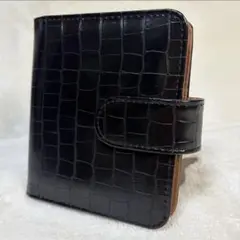 【新品未使用】大容量 カードケース　名刺管理　診察券管理 黒　クロコ型押し