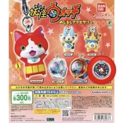 早い者勝ち‼️】 めじるしアクセサリー 妖怪ウォッチ 妖怪メダル