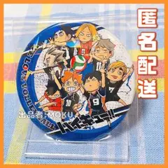 ハイキュー!! コレクション缶バッジ 第5弾 ミニキャラ 集合 ホログラム レア