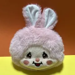 モンチッチ　フェイスパスケース　チムたん