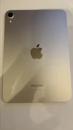 【極美品】 iPad mini 第7世代(A17-Pro)128GB Wi-Fi
