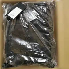 【新品未開封】ace. ガジェタブルR リュック 11L 定価2.5万円