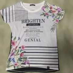 AVAIL MODE 花柄 ボーダー Tシャツ