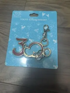 東京ディズニーリゾート 30周年キーホルダー　など