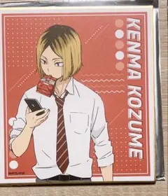 ハイキュー 放課後 昼休憩 ミニ色紙コレクション 孤爪研磨