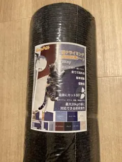 Item thumbnail for item a9e8dce0-7f44-407f-be79-19e312811144