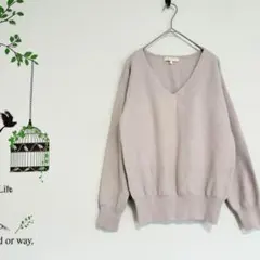 プロポーションボディドレッシング/Vネックニット セーター ピンク FR