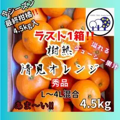 ラスト1箱!!秀品 4.5kg和歌山県田辺産 清見オレンジ きよみ 清美 柑橘