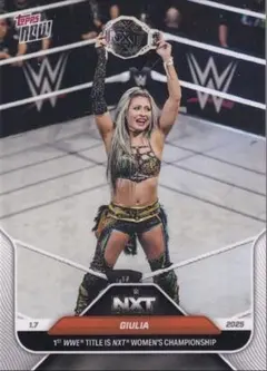 ufc スポーツカード