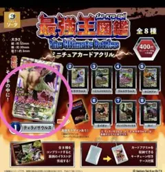 最強王図鑑 ミニチュアカードアクリル