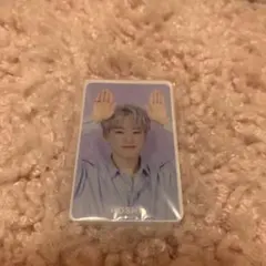 セブチ　セブチカフェ　ホシ　マグネット　2019