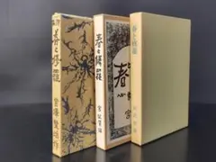 2026年最新】春と修羅 復刻の人気アイテム - メルカリ