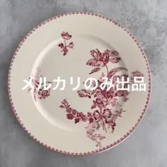 フランスアンティーク　サルグミンヌ　Fontanges ディナープレートのサムネイル
