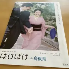 朝ドラ　ばけばけパンフレット　島根県特集号　松江観光パンフレット一式