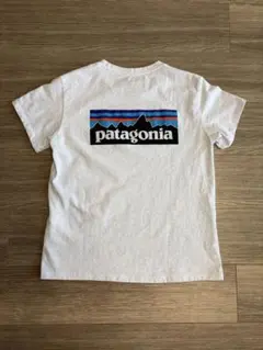 美品、Patagonia パタゴニア 半袖Tシャツ グレーのサムネイル
