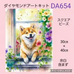 DA654★ダイヤモンドアートキット★スクエアビーズ
