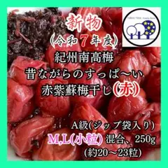 9新物令和7年紀州南高梅 無添加赤紫蘇梅干し(赤)M,L混合A級250g＋赤紫蘇