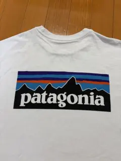 パタゴニア　レディース　Tシャツのサムネイル