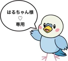 はるちゃん様♡専用