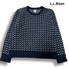 L.L.Bean バーズアイ セーター S ネイビー