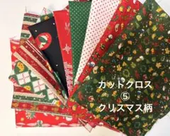 クリスマス柄カットクロス10枚セット⑤