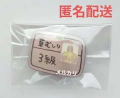 ちいかわ うさぎ 草むしり検定3級 ピンズコレクション2 ピンズ