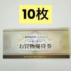 YAMADA HLDGS. お買物優待券 10枚セット