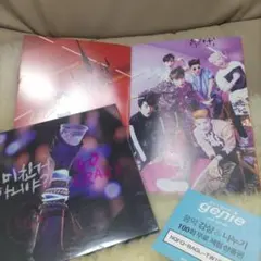 SALE♡2PM GO CRAZY韓国盤11曲入+会報誌付き（ミダレテミナ記事）