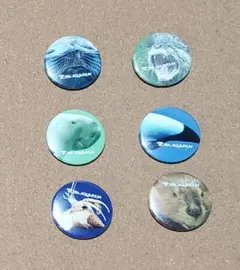 レア 名古屋港水族館限定 シャチ アース 缶バッジセット - メルカリ