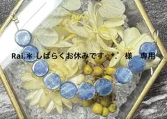 Rai.＊ しばらくお休みです✩*.゜様 リクエスト 4点 まとめ商品