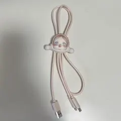 POPMART スカルパンダ 充電ケーブル Lightning TYPEC