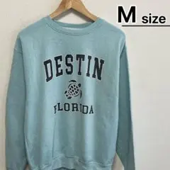 USA古着　スウェット　M　ライトブルー　杢カラー　プリント　カメ　DESTIN