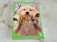 角川つばさ文庫
