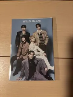 WILD BLUE ポストカード