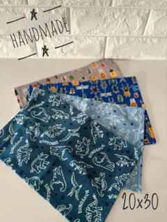 ランチョンマット　ランチクロス　20×30 4枚　恐竜　昆虫　幼稚園　保育園