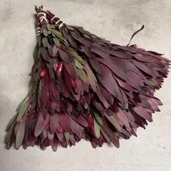 msk_.様 リクエスト 2点 まとめ商品