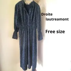 Droite lautreamont　花柄ワンピース　フリーサイズ