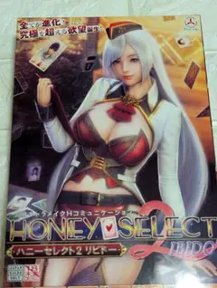 HONEY SELECT2 リビドー