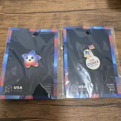 太鼓の達人 限定 柄 バナパス ポートカード キービジュアル 柄