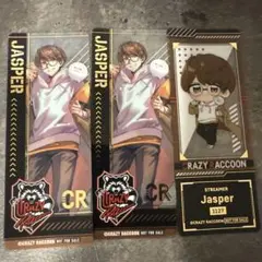 CRAZY RACCOON Jasper カードセット