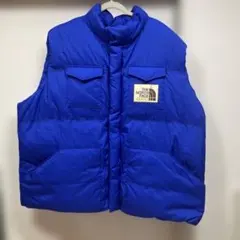 GUCCI × THE NORTH FACE 2020 美品GG総柄ダウンベスト - メルカリ