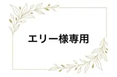 【エリー様専用】I.O.V