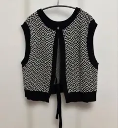 2way ガラニットベスト HARE