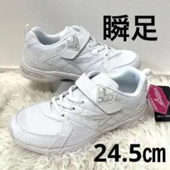 【新品タグ付】瞬足　スニーカー　24.5㎝ レモンパイ