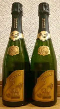 2025年最新】ソウメイシャンパンの人気アイテム - メルカリ