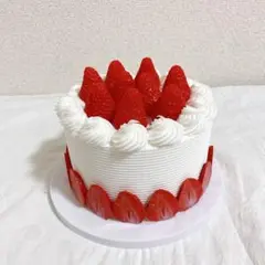 いちご ホールケーキ フェイクケーキ 食品サンプル インテリア 小道具 B841